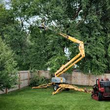 Best Arborist Consultation Services  in Bettendorf, IA