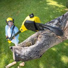 Best Commercial Tree Services  in Bettendorf, IA